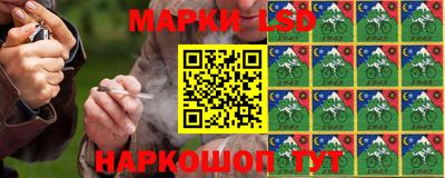 молекула духа Будённовск