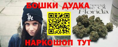 стаф Бузулук