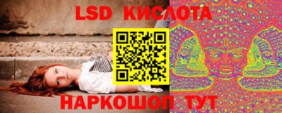 молекула духа Будённовск