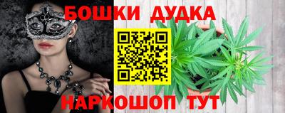 молекула духа Будённовск