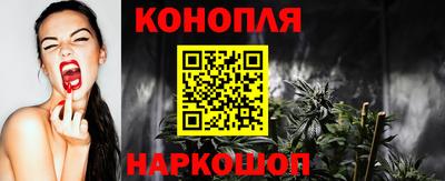 молекула духа Будённовск